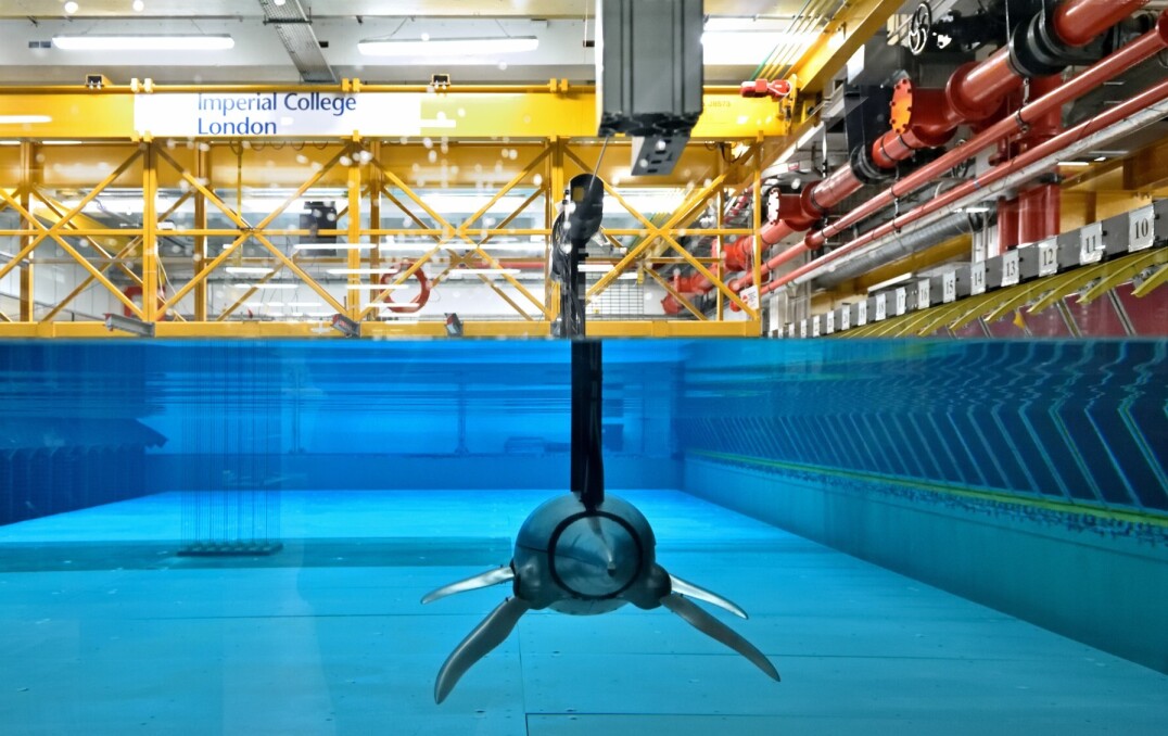 Flip - the remote-controlled, free-swimming robotic plesiosaur